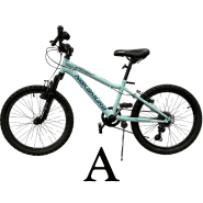 A teal children's bike.